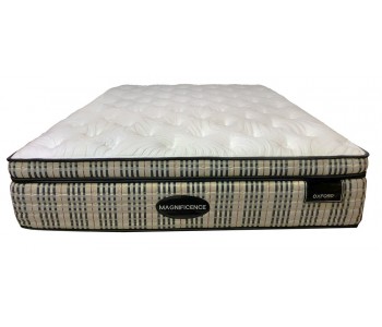 Slumberzone Magnificence...