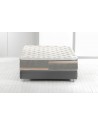 Comfort Deluxe Dual 12 Comfort Deluxe Dual 12