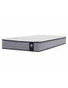 Sealy Singles - Trent Mattress Sealy Singles - Trent Mattress