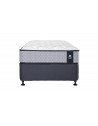 Sealy Singles - Trent Mattress Sealy Singles - Trent Mattress