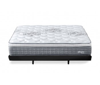 Enliven Electric Adjustable...