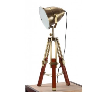 Antique Brass Spotlight...